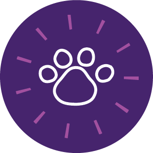 The Growing Purplepaw