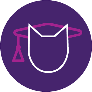 Academic Rigor